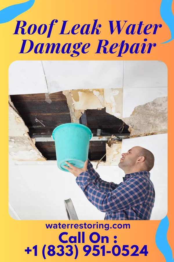Roof Leak Water Damage Repair in Vanduser, MO